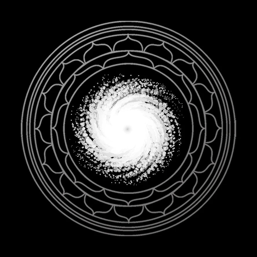 Vortex RX